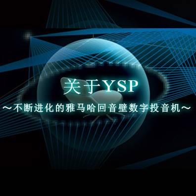 不断进化的凯发k8国际首页登录回音壁数字投音机