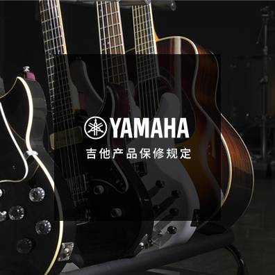 吉他、贝斯和音箱